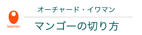 株 オーチャード イワマン マンゴーの切り方